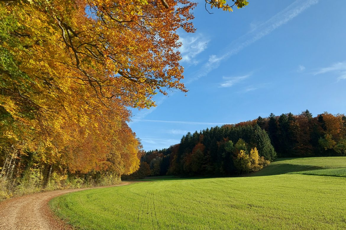 Hier kannst du meinen kostenlosen Newsletter abonnieren und 4 x im Jahr einen Jahreszeitenbrief erhalten. 

Unter Weiterlesen findest du einen Auszug aus meinem aktuellen Brief.