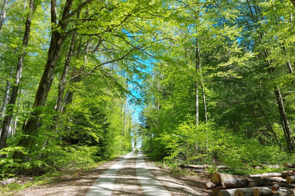 Hier kannst du meinen kostenlosen Newsletter abonnieren und 4 x im Jahr einen Jahreszeitenbrief erhalten. 

Unter Weiterlesen findest du einen Auszug aus meinem aktuellen Brief.