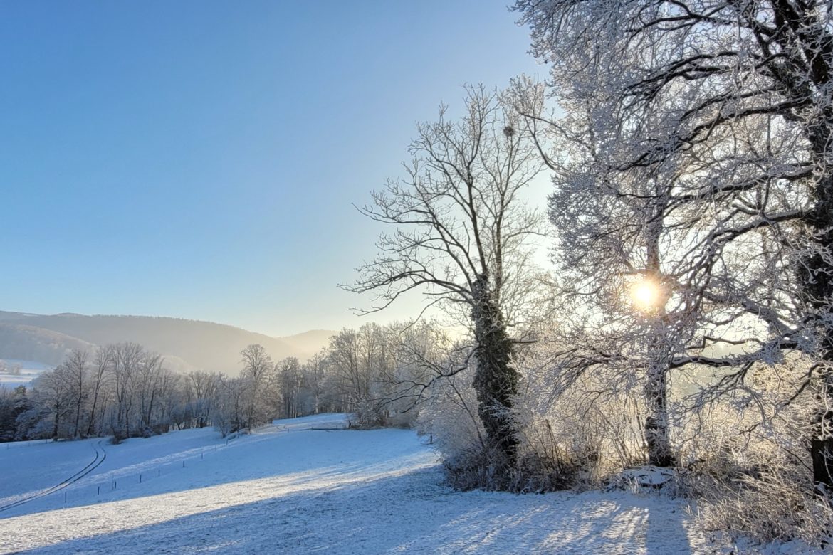 Hier kannst du meinen kostenlosen Newsletter abonnieren und 4 x im Jahr einen Jahreszeitenbrief erhalten.
Unter Weiterlesen findest du einen Auszug aus meinem aktuellen Brief.